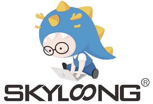 SKYLOONG