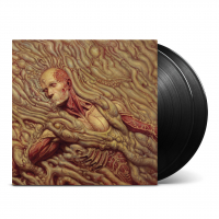 300x200