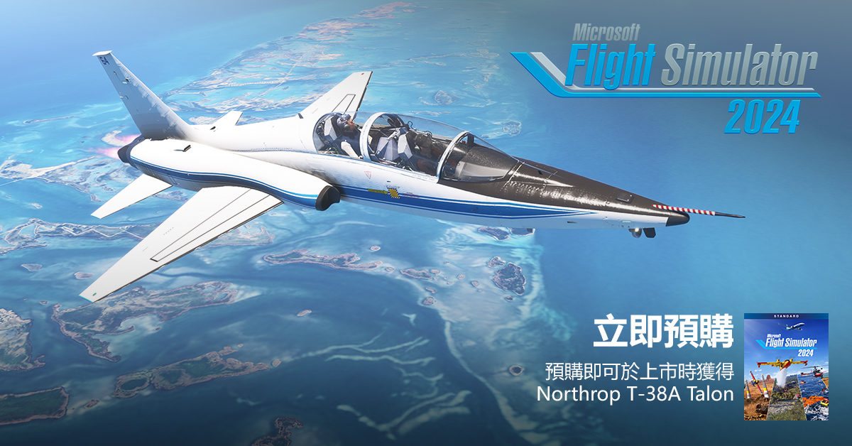 flight sim