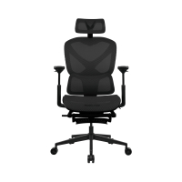 C377 Formula V Ergolux 5 Plus 人體工學網椅