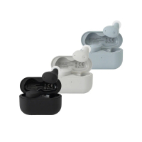 Final Audio ZE300 真無線耳機(黑色)