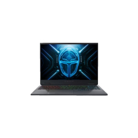 ThundeRobot R16 16吋 2K QHD 300Hz IPS (i9-13900HX+RTX5070Ti+16GB+1TB+Win11 Pro) 手提電腦