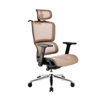 C237E i-Rocks T07 Plus 人體工學辦公網椅