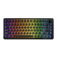 Tecware Ghost 75 RGB 有線機械鍵盤(預潤線性軸)