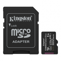 Kingston Canvas Select Plus Class 10 UHS-I U3 V30 MicroSD 記憶卡(1TB)