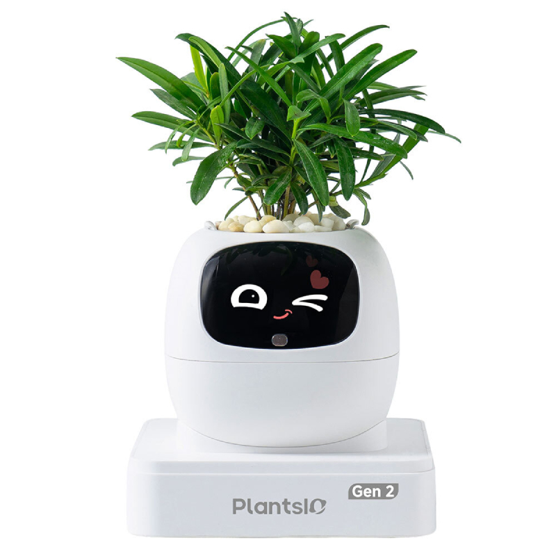 PlantsIO IVY Gen2 智能植物培植寵物(白色)