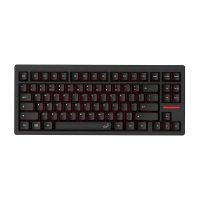 Wooting 80HE ANSI 磁軸遊戲鍵盤【香港行貨】(TenZ Takeover)