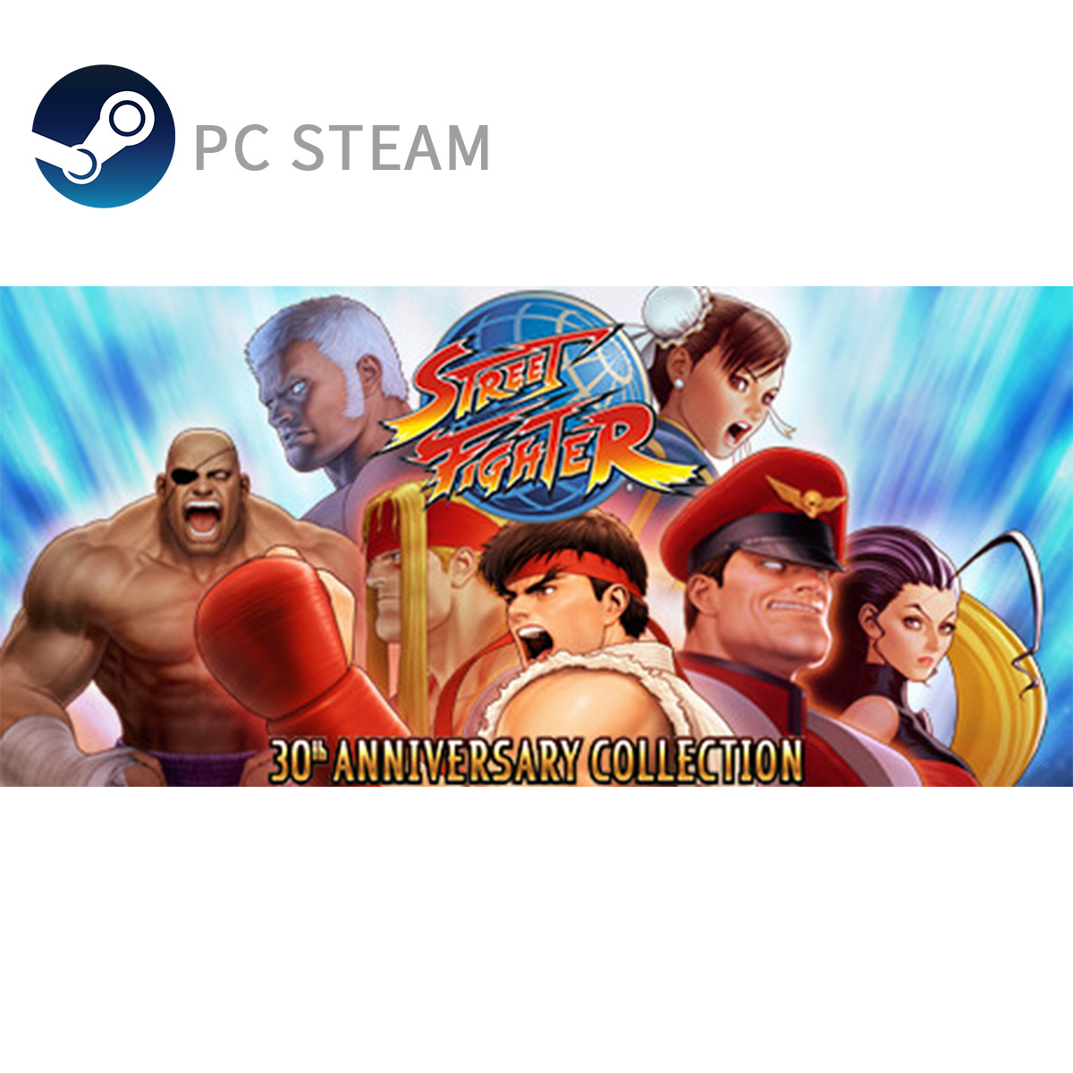 PC STEAM《街霸三十周年合集》Street Fighter 30th Anniversary Collection(數位版)
