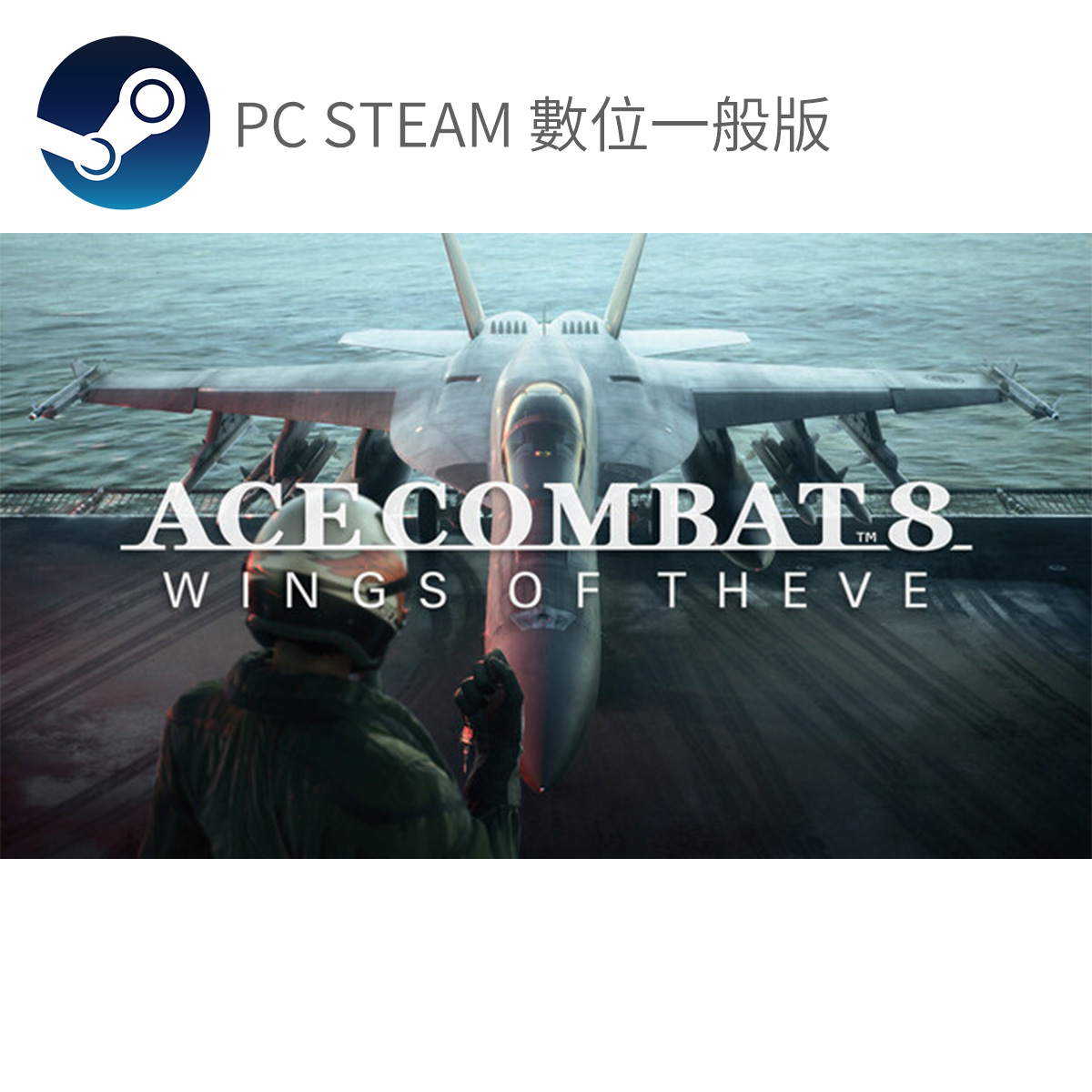 PC STEAM《空戰奇兵8 希孚之翼》Ace Combat 8: Wings of Theve(數位一般版)