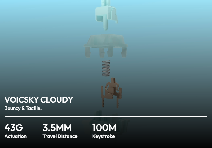 VOICSKY CLOUDY Switch