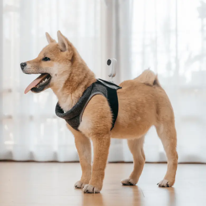 Insta360 Go 2 Pet Strap Mount 寵物背帶