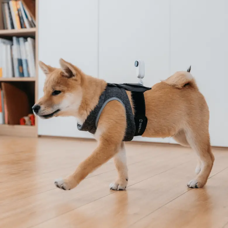 Insta360 Go 2 Pet Strap Mount 寵物背帶