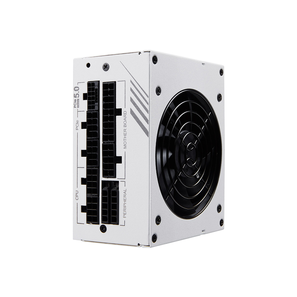 FSP 金鋼彈 DAGGER PRO ATX3.0(PCIe5.0) 850W White 金牌電源供應器(白色)
