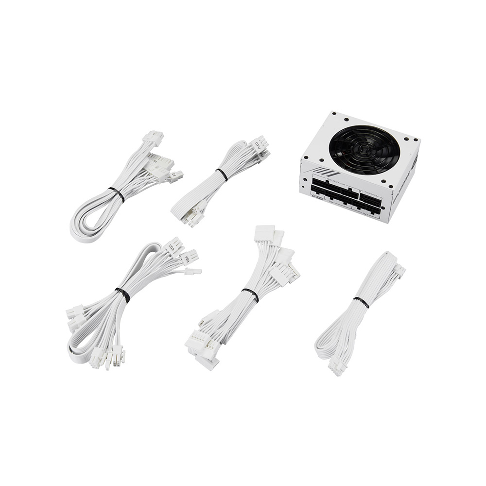 FSP 金鋼彈 DAGGER PRO ATX3.0(PCIe5.0) 850W White 金牌電源供應器(白色)