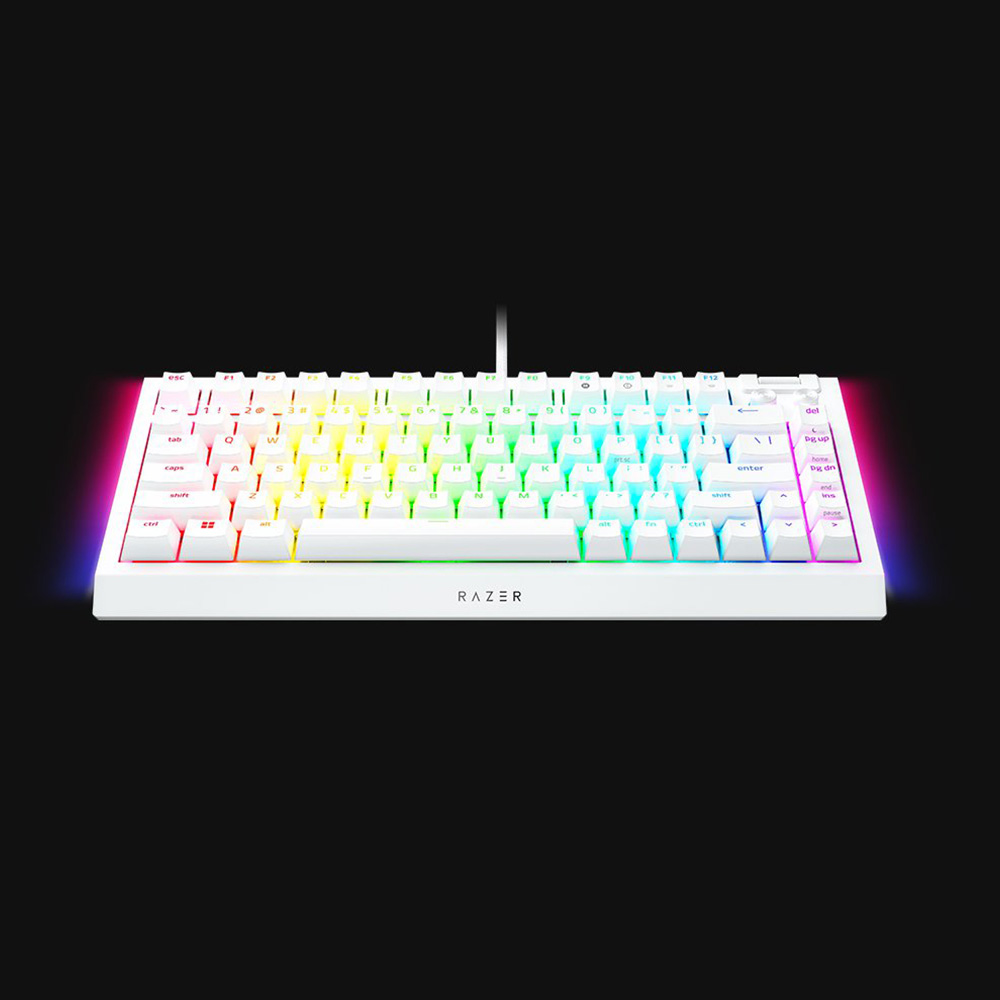 Razer BlackWidow V4 75% Hot-Swappable 可換軸 機械式電競鍵盤(觸感橙軸-白色-英文版)