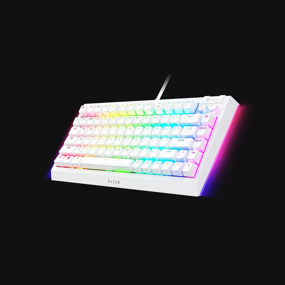 Razer BlackWidow V4 75% Hot-Swappable 可換軸 機械式電競鍵盤(觸感橙軸-白色-英文版)
