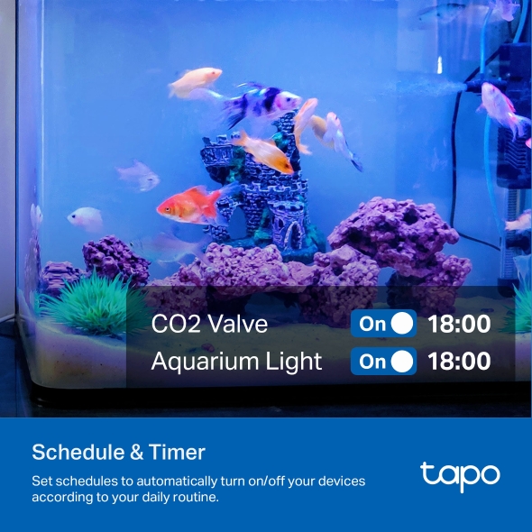 TP-Link Tapo P304M 智慧型Wi-Fi 拖板 (四個獨立插座)