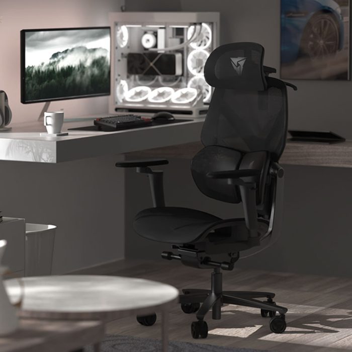 C346 ThunderX3 Flex Pro 人體工學網椅(黑色)