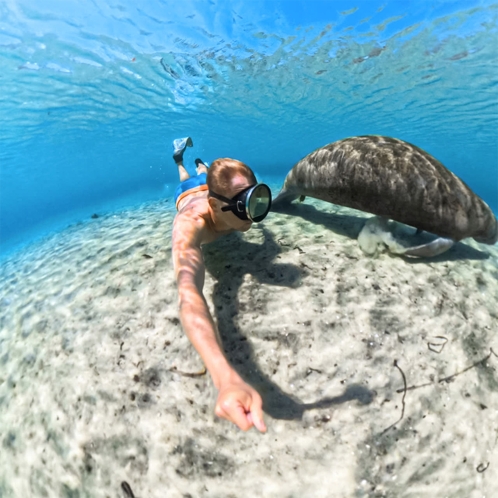 Insta360 X5 專用配件(隱形潛水殼)