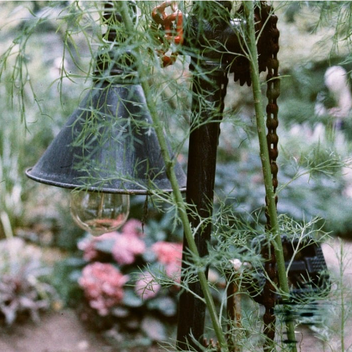 Escura ISO400 色彩菲林 (30曝光)(咒術迴戰)