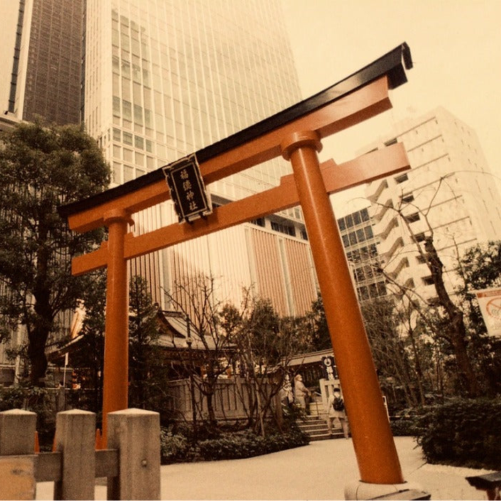 Escura ISO400 色彩菲林 (30曝光)(昭和時代)