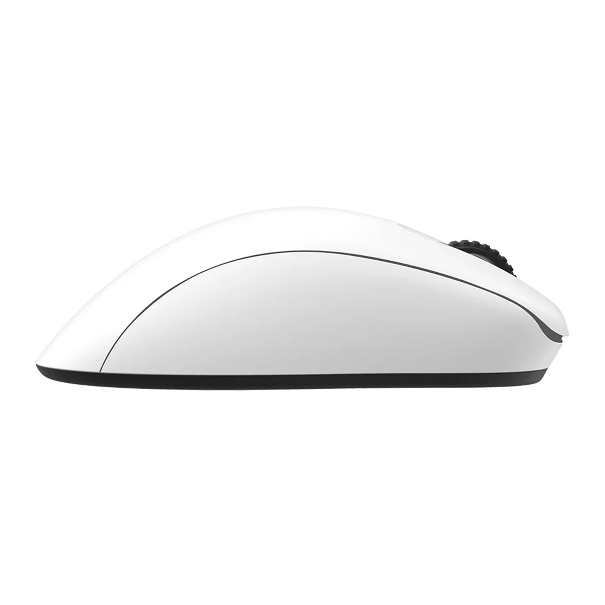 ZOWIE EC1-DW 4K 無線電競滑鼠(Large-白色)