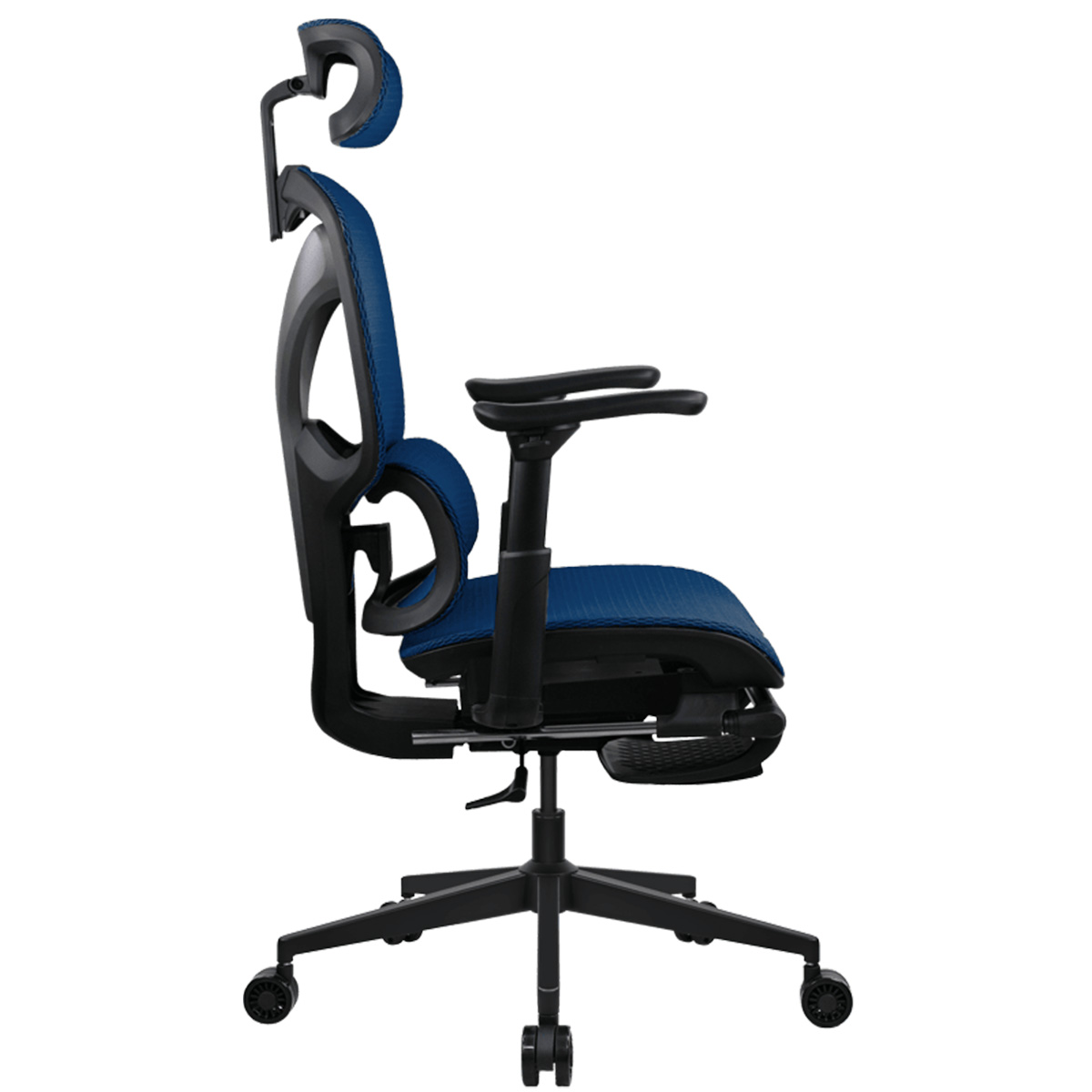 C377B Formula V Line Ergolux 5 Plus 人體工學網椅(藍色)
