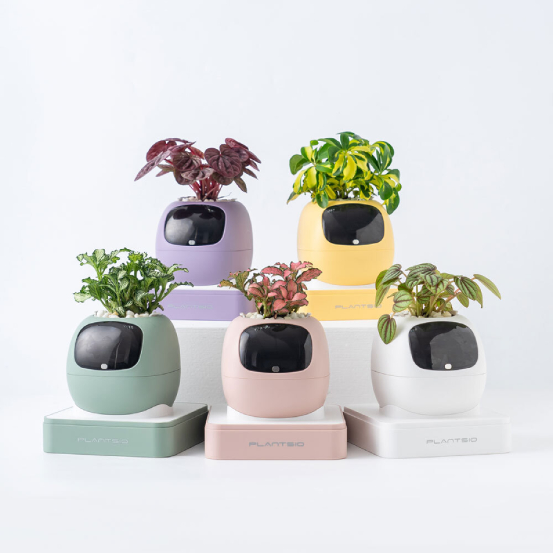 PlantsIO IVY Gen2 智能植物培植寵物(綠色)